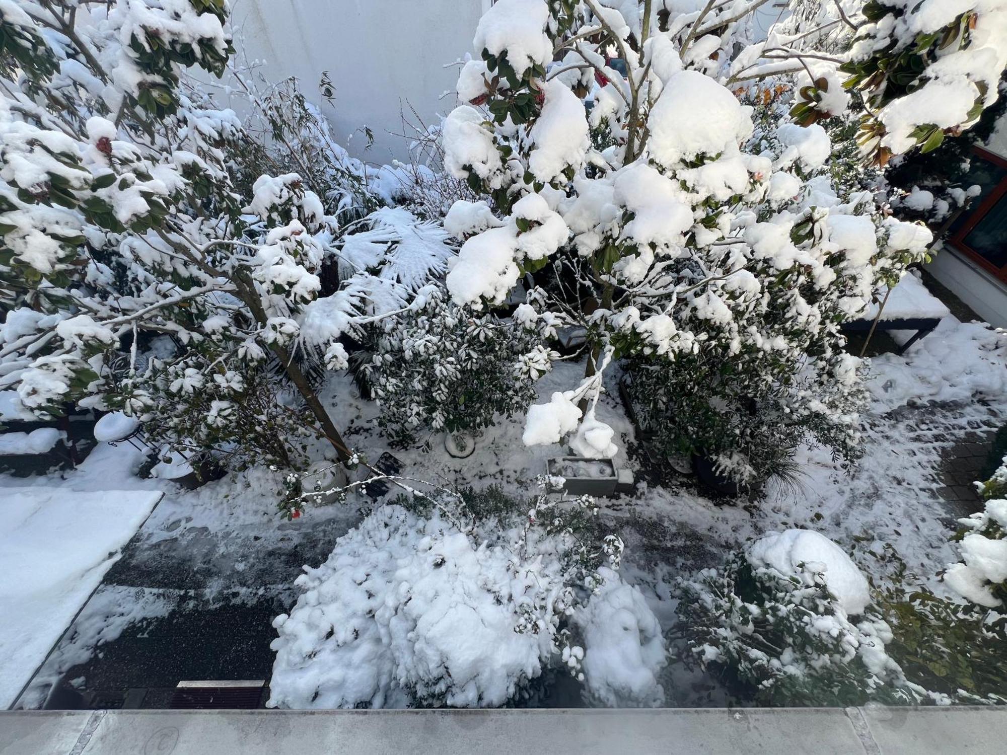 Haus Pia Executive Apartments FDH Dış mekan fotoğraf