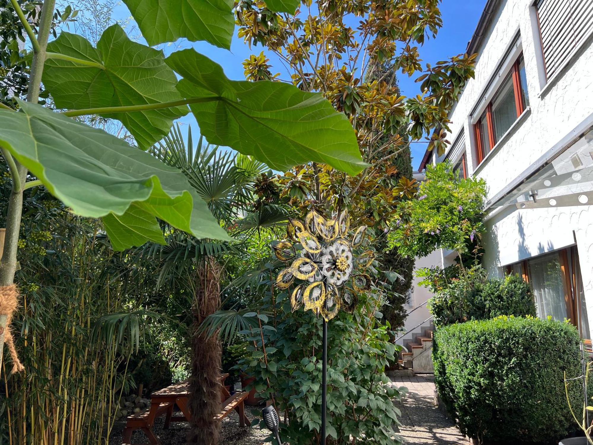 Haus Pia Executive Apartments FDH Oda fotoğraf